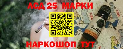 молекула духа Донецк