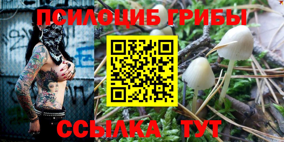 Галлюциногенные грибы Psilocybine cubensis  Вход с VPN  Галлюциногенные грибы Cubensis  Минусинск 